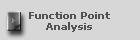 Function Point 
Analysis